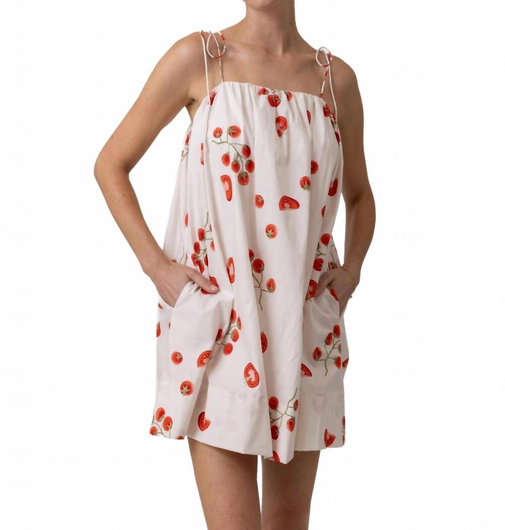 NEW LINE AND DOT bellissimo mini dress in ivory multi